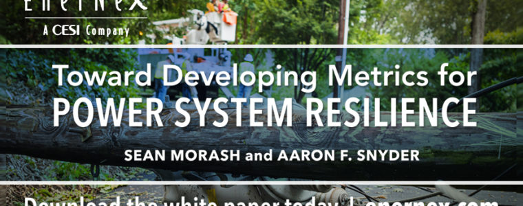 [WHITE PAPER] Toward Developing Metrics for Power System Resilience