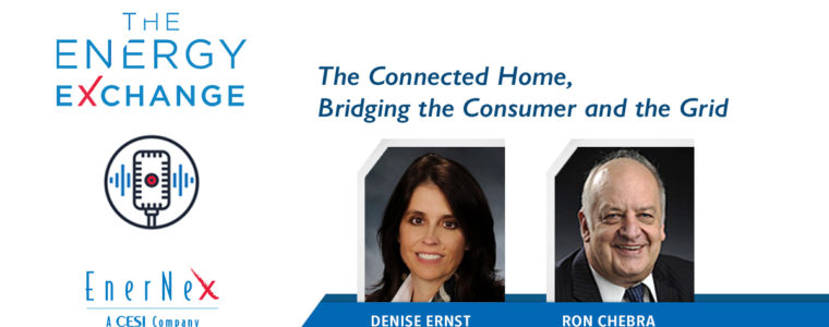 The Connected Home: Bridging the Consumer and the Grid